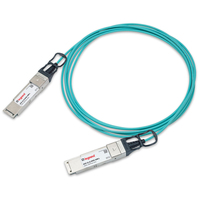AOC-Q-Q-100G-10M-L