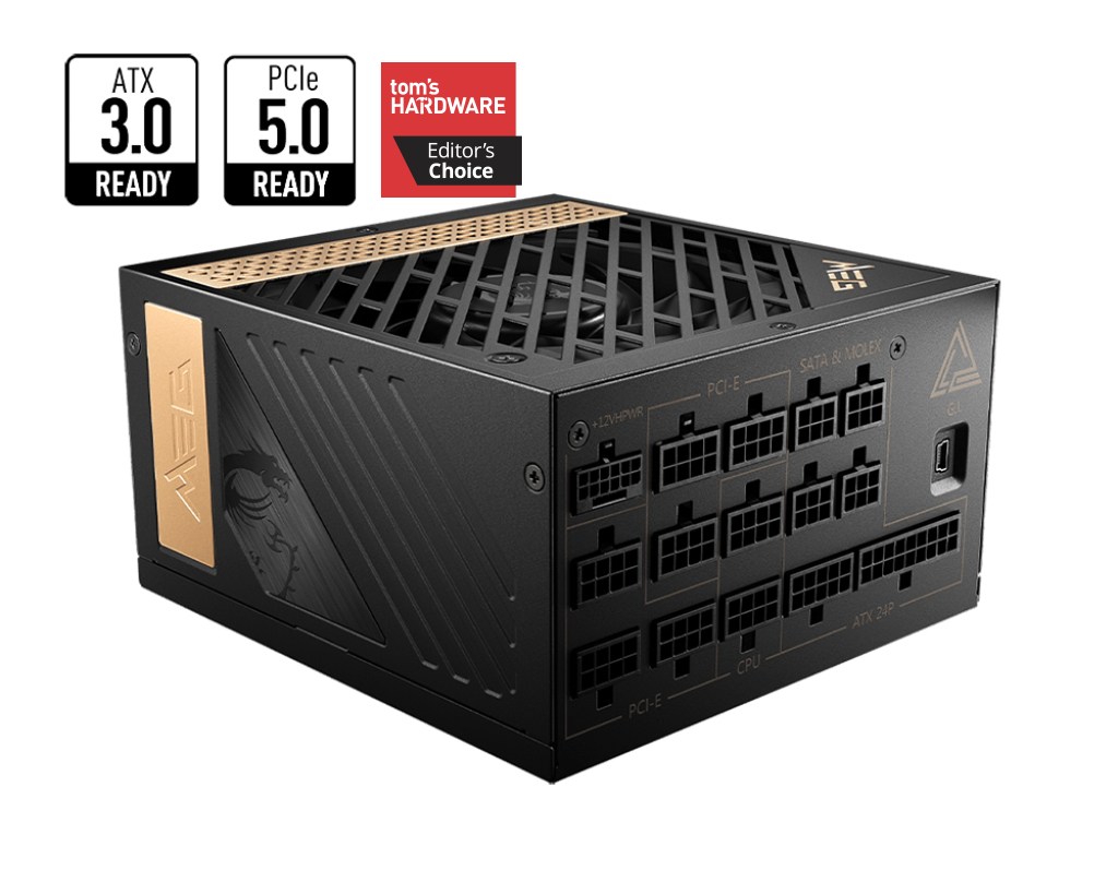 "MEG AI1000P PCIE5" MSI
