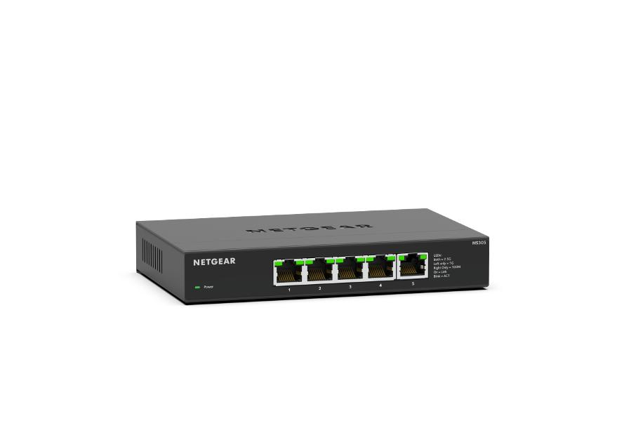 MS305-100NAS NETGEAR