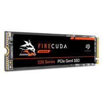 ZP1000GM30013
