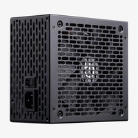 PSU010037