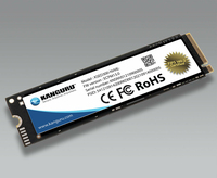 KSED300-NVME-1T