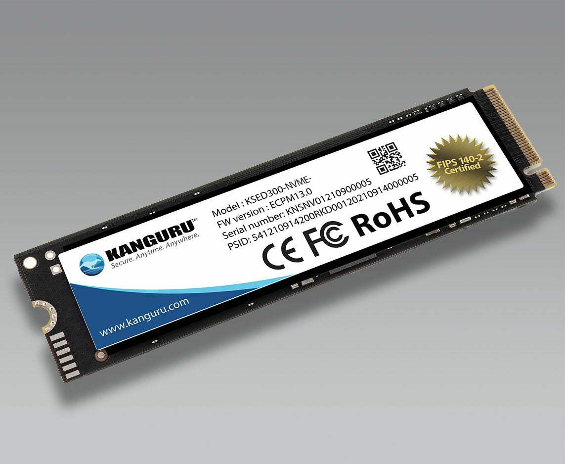 KSED300-NVME-500G iStorage