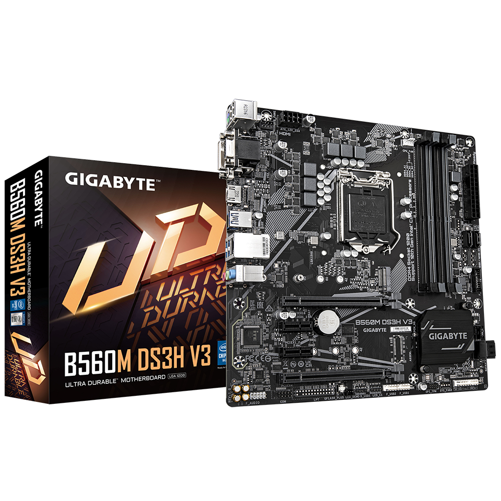 "B560M DS3H V3" GIGABYTE