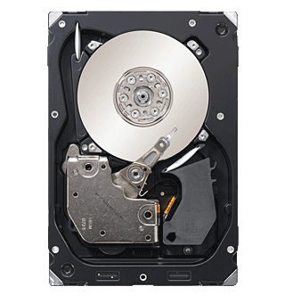 ST3300056SS Seagate
