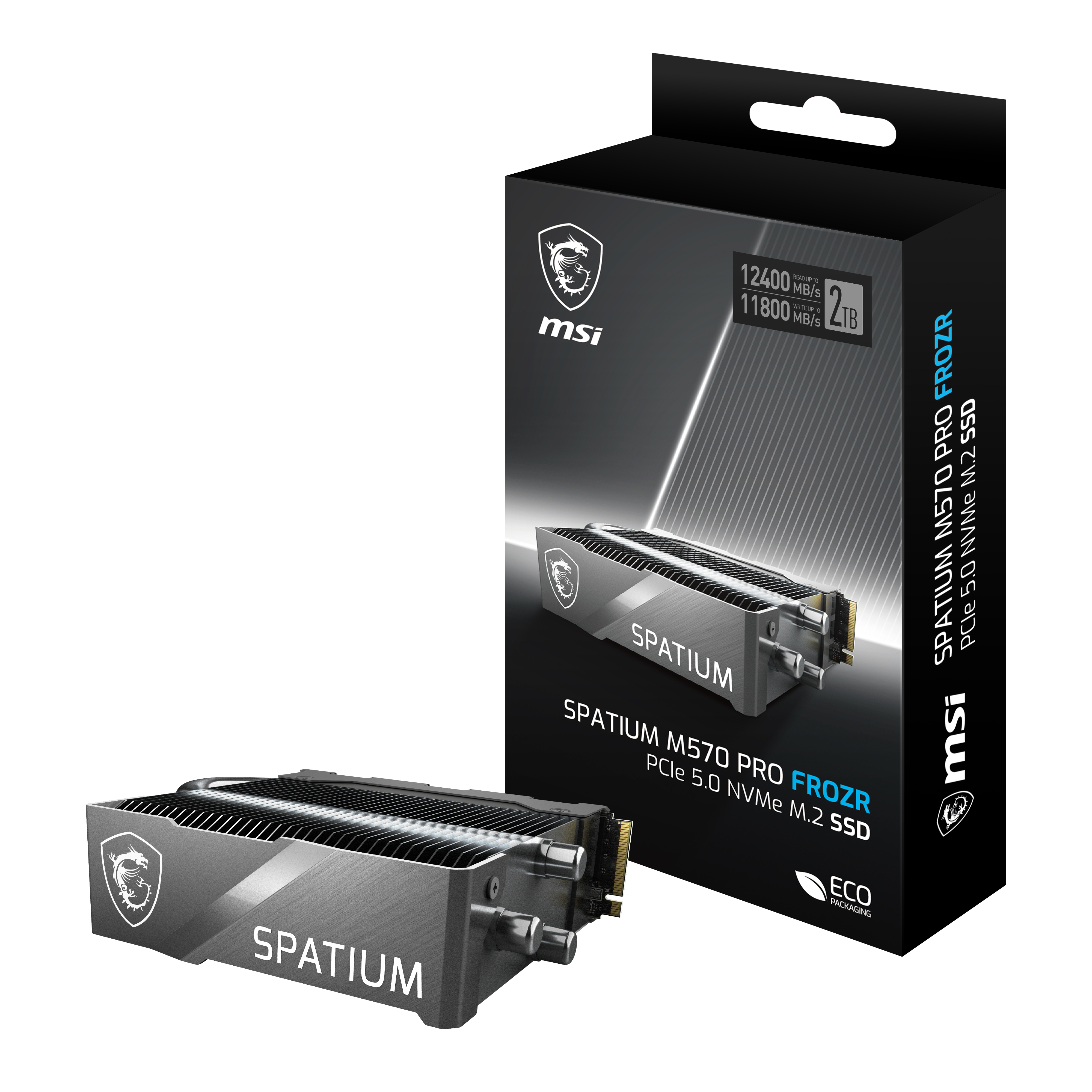 "M570 PRO 2TB FROZR" MSI