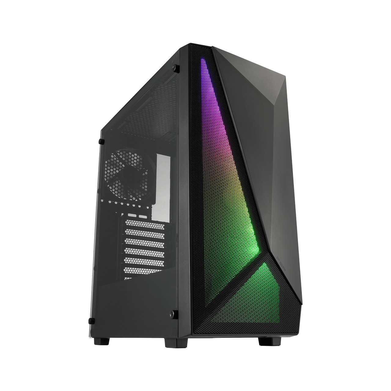 POC0000213 FSP