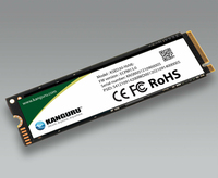 KSED30-NVME-1T