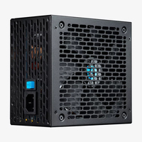 PSU010040