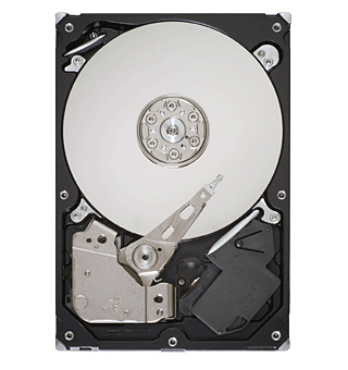 SEA31000528AS Seagate