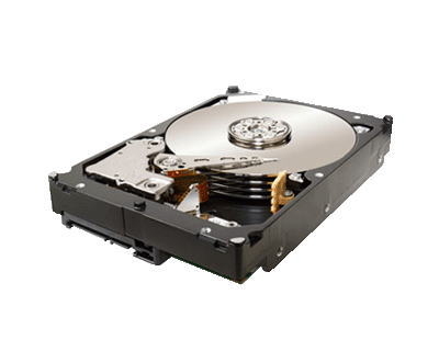 ST32000644NS Seagate