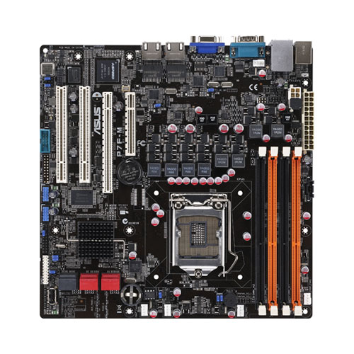 P7F-M ASUS