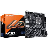 "H810M H"