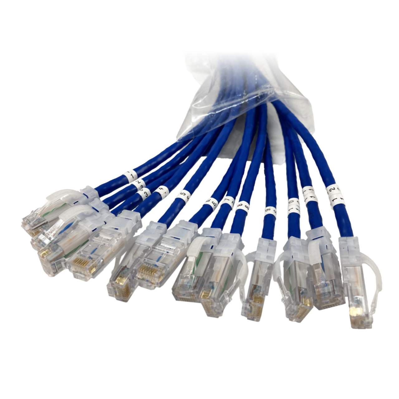 EZFPM6A03Q12-06 Legrand