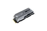 CT1000T705SSD5-IN