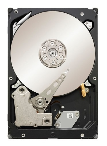 ST31000524NS Seagate