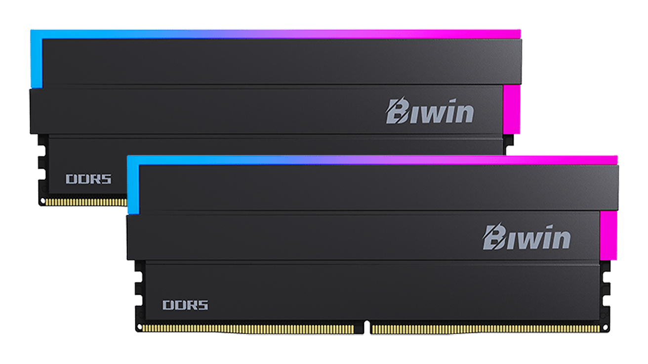B5DW100326432FR2G-CB002 Biwin