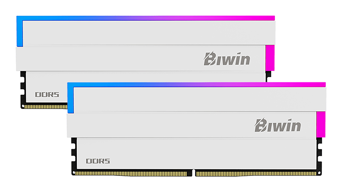 B5DW100326432FR2G-CW002 Biwin