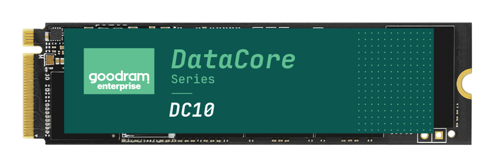 GEDC10M100-480NS10B Goodram