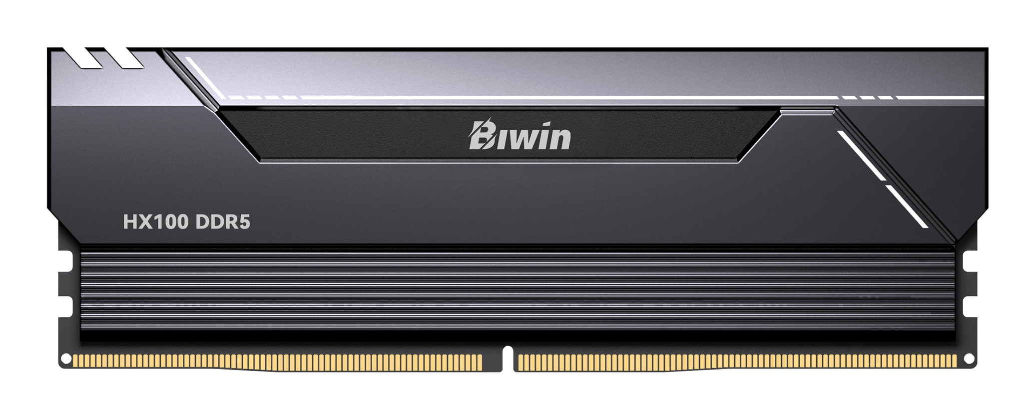 B5HX100646030ER2G-BB006 Biwin