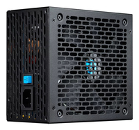 PSU010051