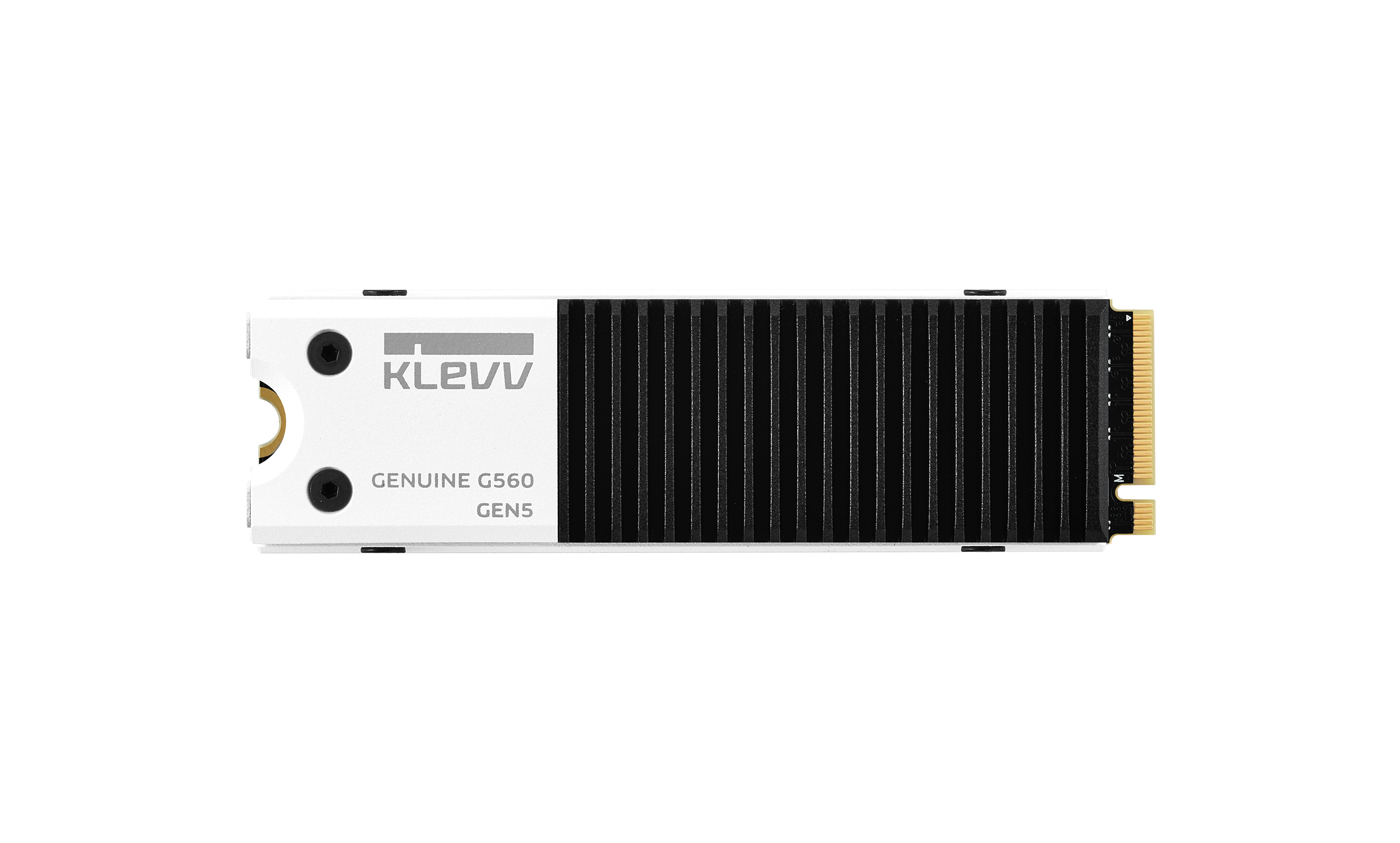 K01TBM2SP0-G56 Klevv