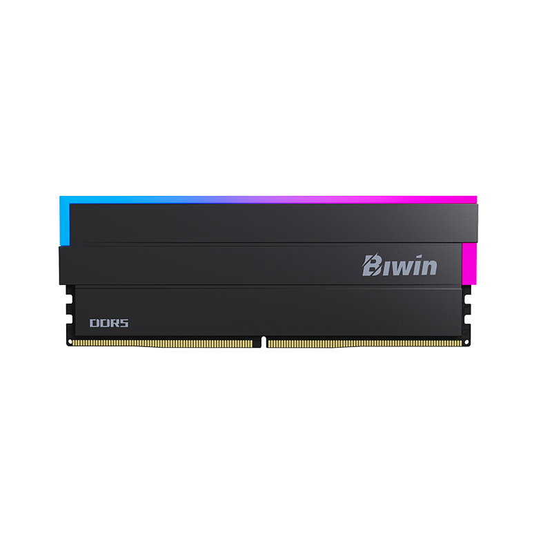 BXL54860DW1-D28FB Biwin