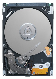 ST31000425SS Seagate