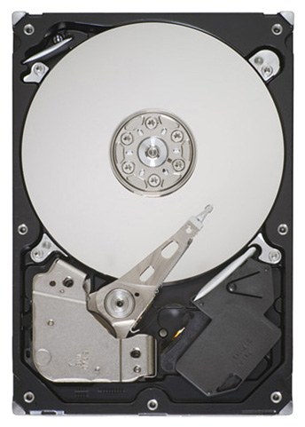 ST32000445SS Seagate