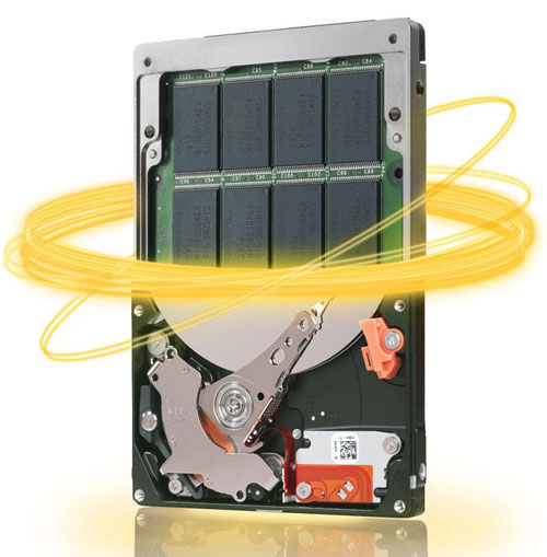 ST92505610AS Seagate