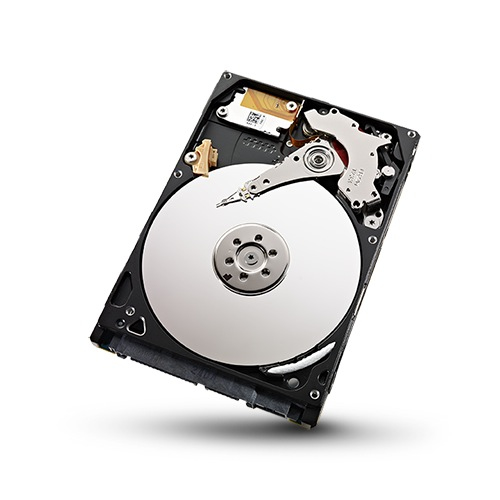 ST95005620AS Seagate