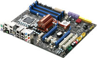 "X58 PLATINUM SLI" MSI