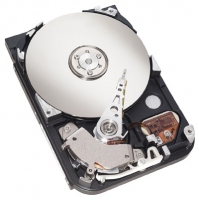 ST380020ACE Seagate