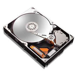 MXT250GB-SATA2 Seagate