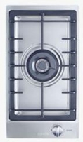 CS1011G