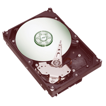 ST3300831A-RK Seagate