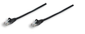 344081 Intellinet