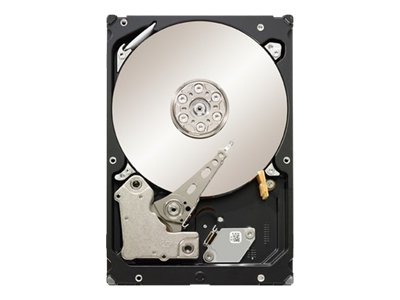 ST32000446SS Seagate