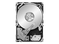 ST9250611NS Seagate