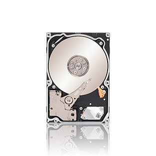 ST9500620SS Seagate