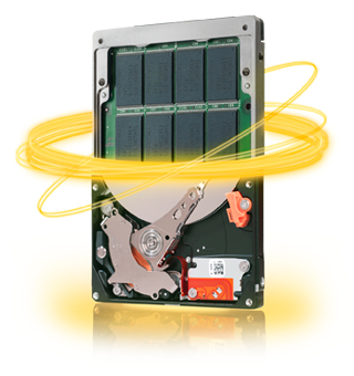 STAN500100 Seagate