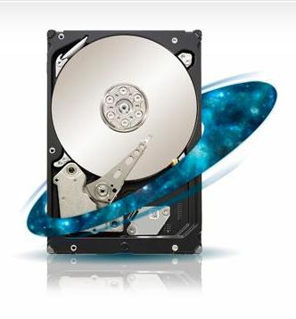 ST33000651NS Seagate