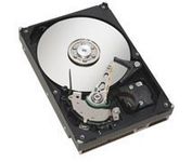 ST3160023AS-RK Seagate