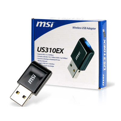 US310EX MSI