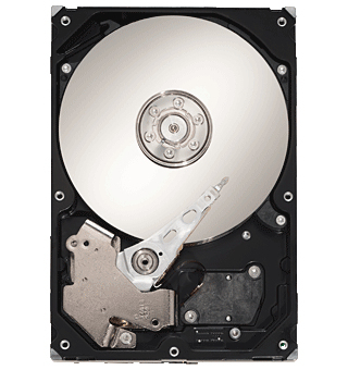 ST330005N1A1AS-RK Seagate