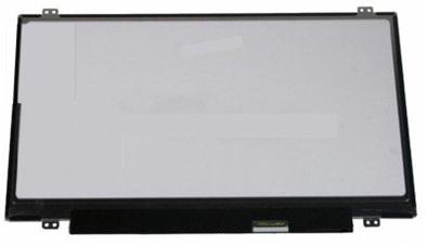 LK.14005.011 Acer