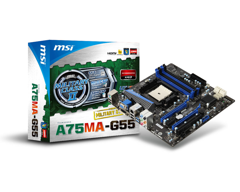 7696-010R MSI