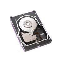 ST373453LW?20PK Seagate