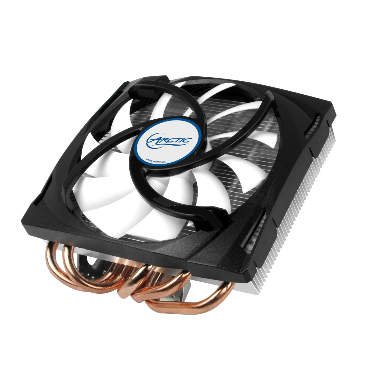 DCACO-V430001-BL ARCTIC