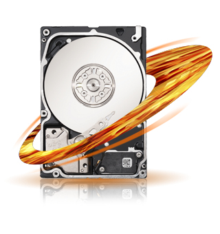 ST973252SS Seagate